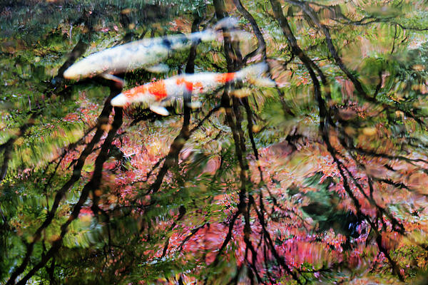 Floating Couple T1P019 Photograph
