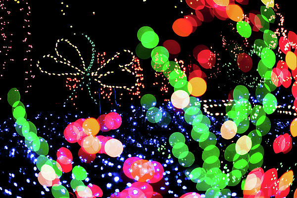 Holiday Lihgts KA677 Photograph