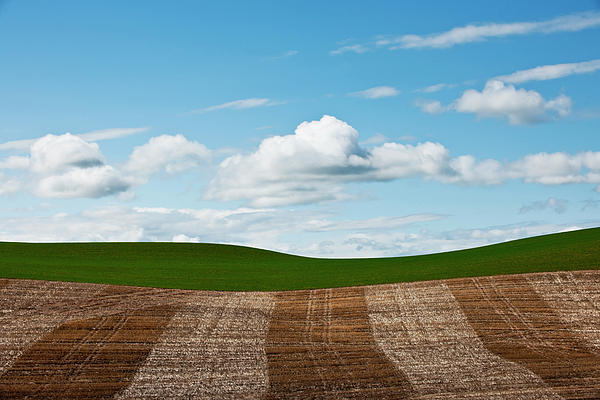 Rolling Hills in Palouse W303 Photograph